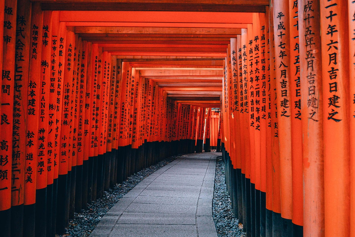 Tunnel of red torii gates along a stone path