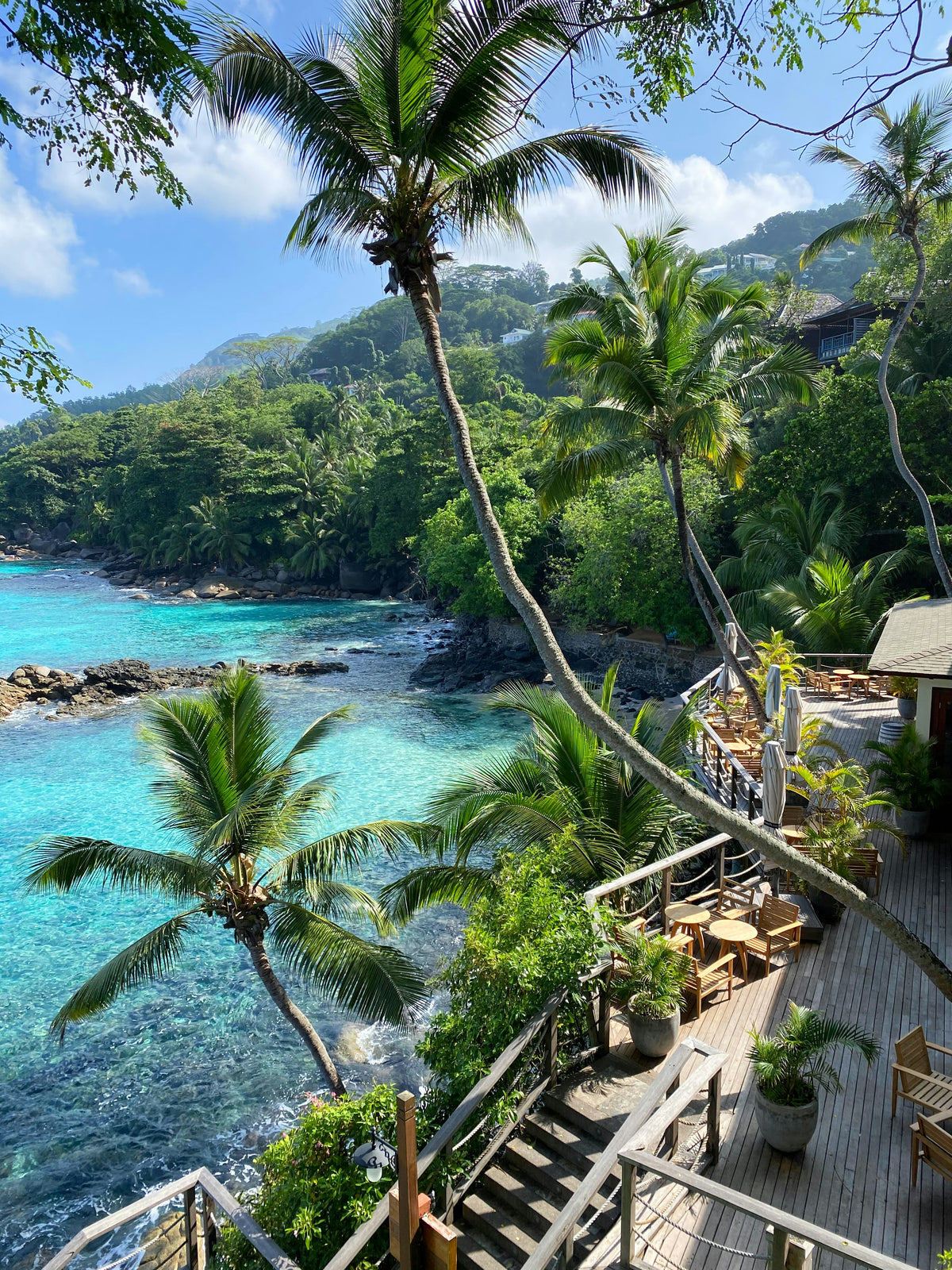 Palm trees and a wooden terrace above a turquoise cove