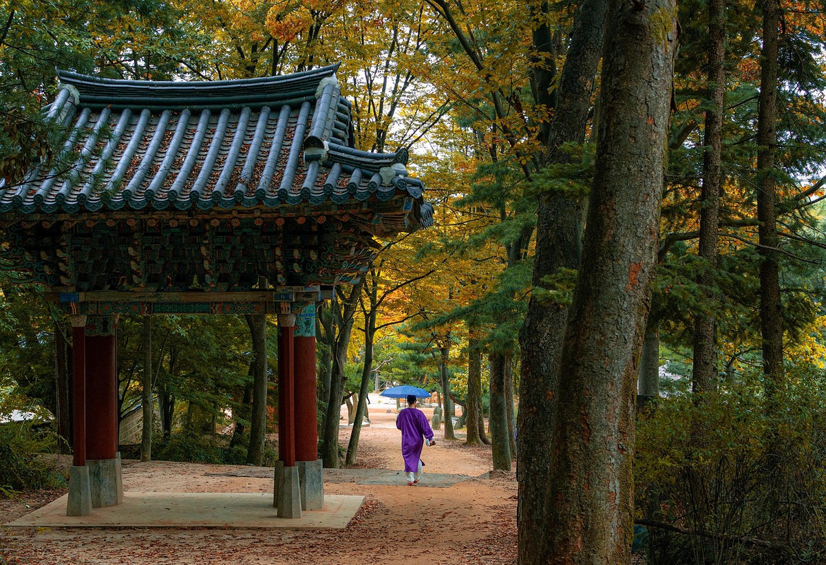 Traditional wooden pavilion with tiled roof in an autumn forest path