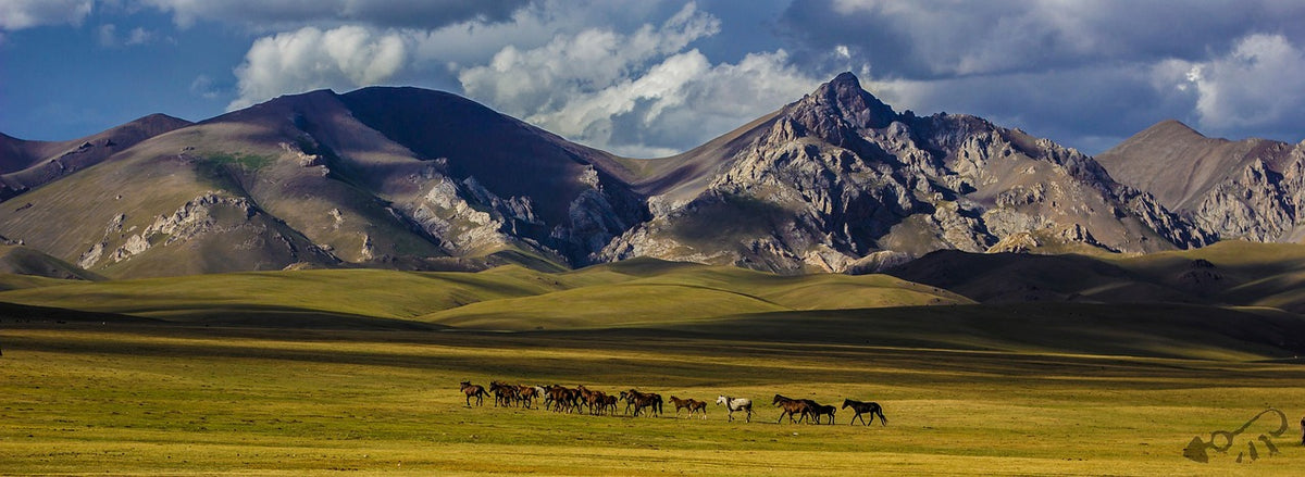 Horses grazing on a vast steppe below rugged mountains