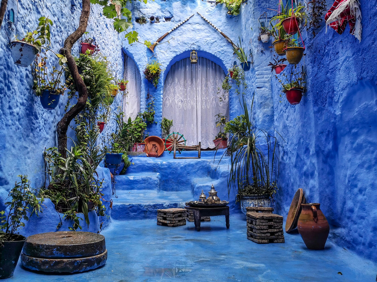Blue-painted courtyard with potted plants and an arched doorway