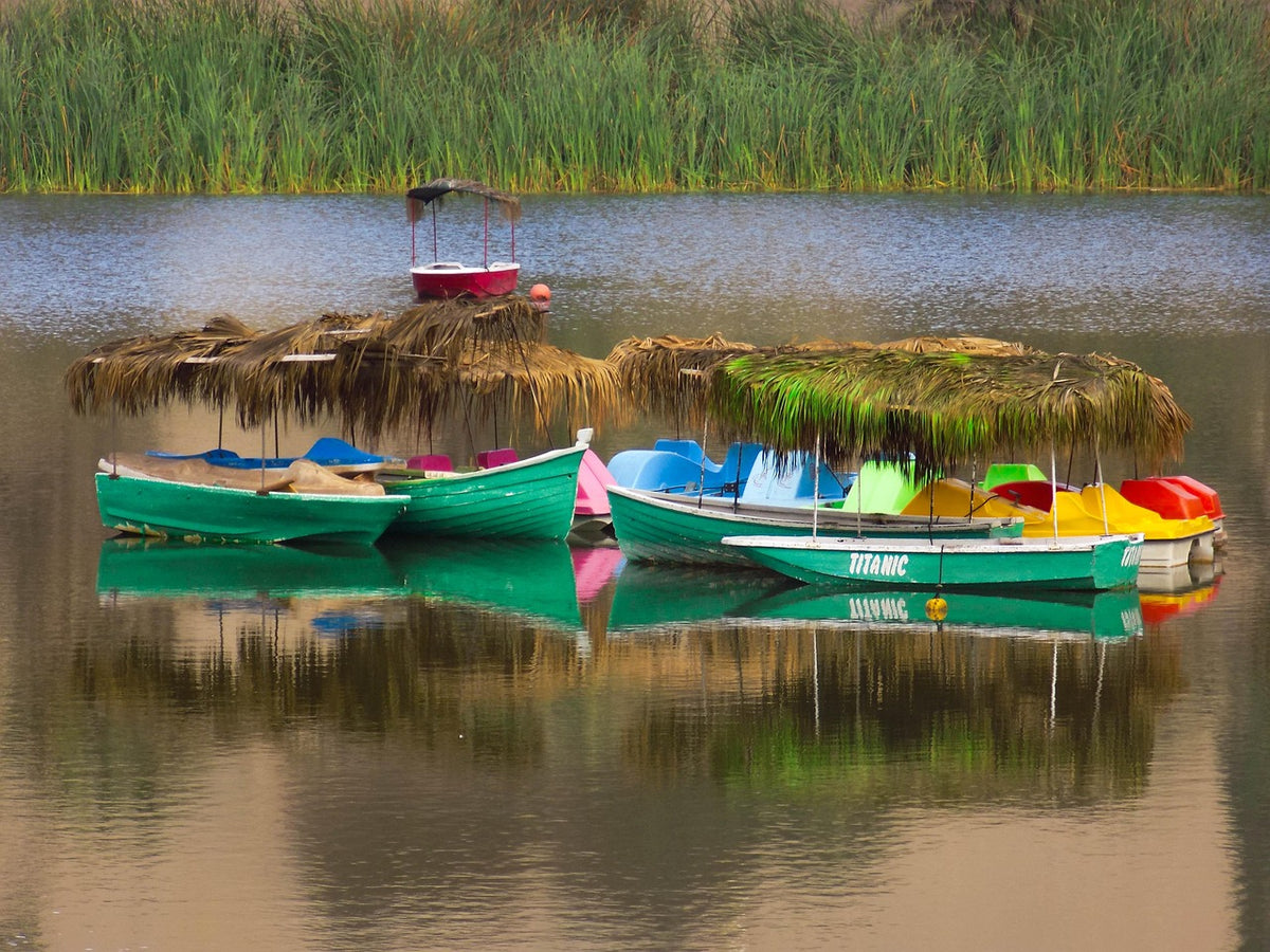 Colourful boats moored beside a floating reed island