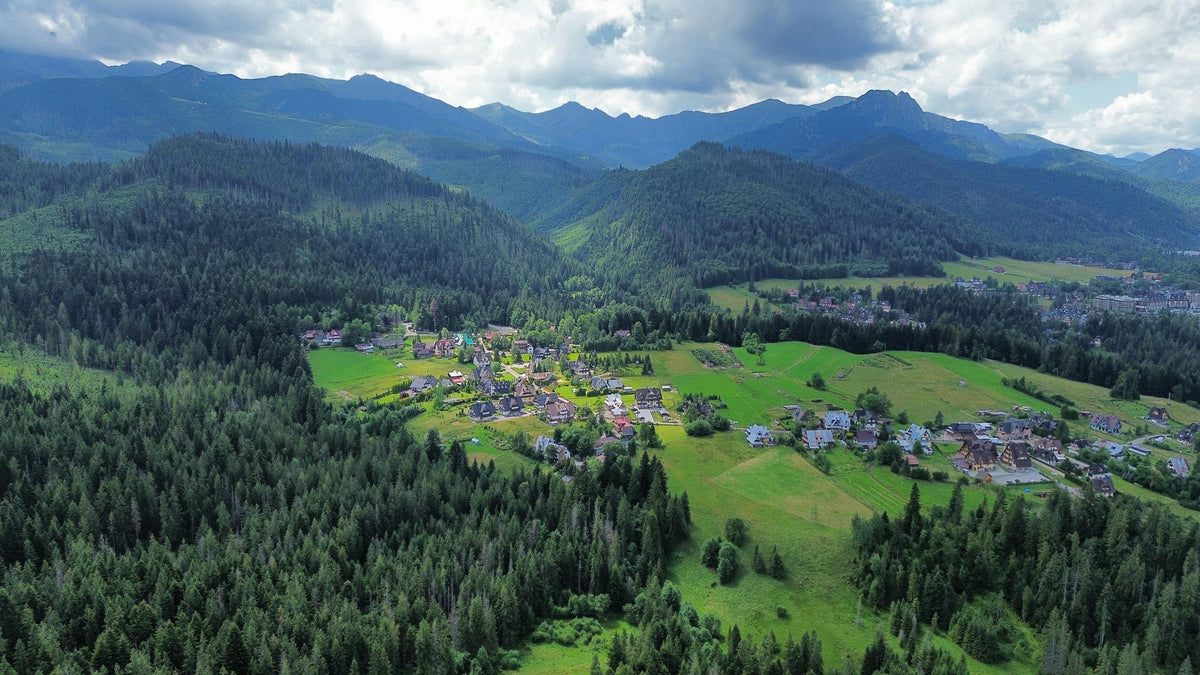 Green valley with a village and pine forests below mountains