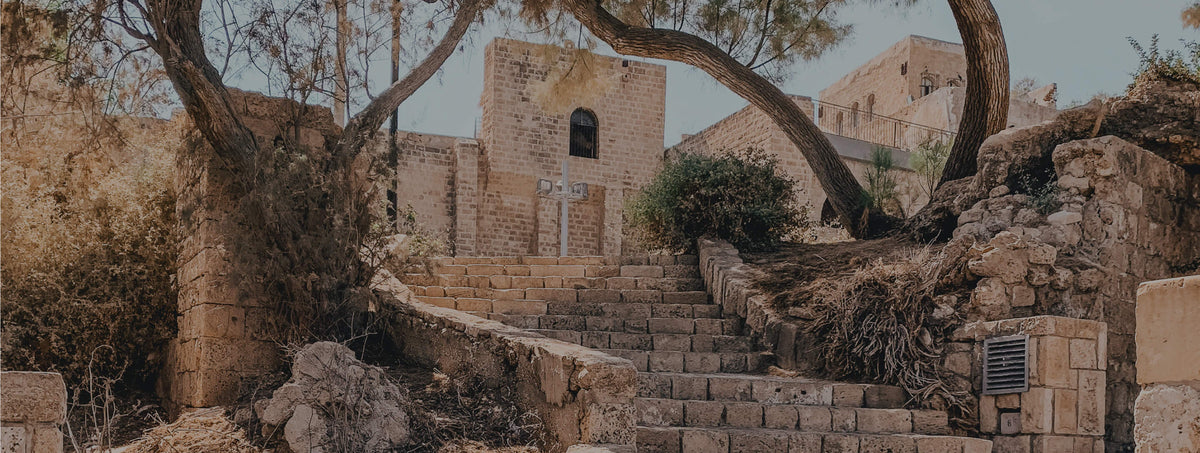 Old stone stairway and buildings framed by gnarled trees